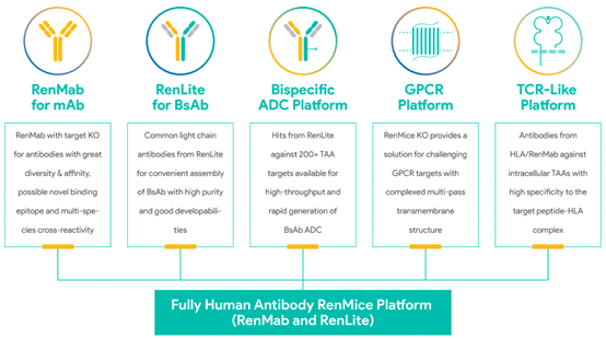 RenMice_Biocytogen Pharmaceuticals (Beijing) Co., Ltd._Biocytogen, Drug ...